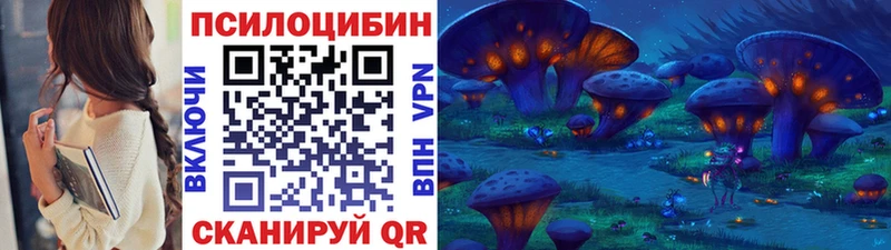 Галлюциногенные грибы Psilocybine cubensis  Нолинск 